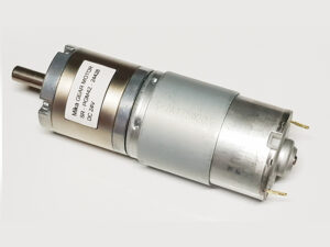 Brushed Gear Motor 42 mm