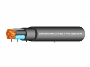 สายไฟ NYY 5C